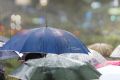 Теплая, но дождливая погода ждет нижегородцев на следующей неделе
