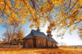 Наслаждаемся золотой осенью в Нижегородской области, пока еще можно!