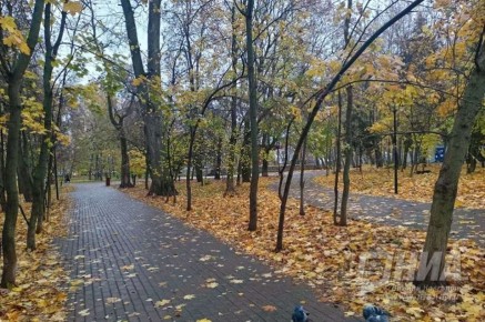 Дожди накроют Нижний Новгород в последнюю неделю октября