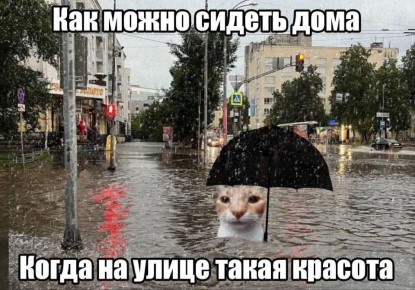Нижегородцы, на предстоящей неделе сидим дома или не выпускаем из рук зонтики – пасмурную и дождливую погоду обещают синоптики