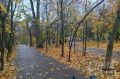 Дожди накроют Нижний Новгород в последнюю неделю октября