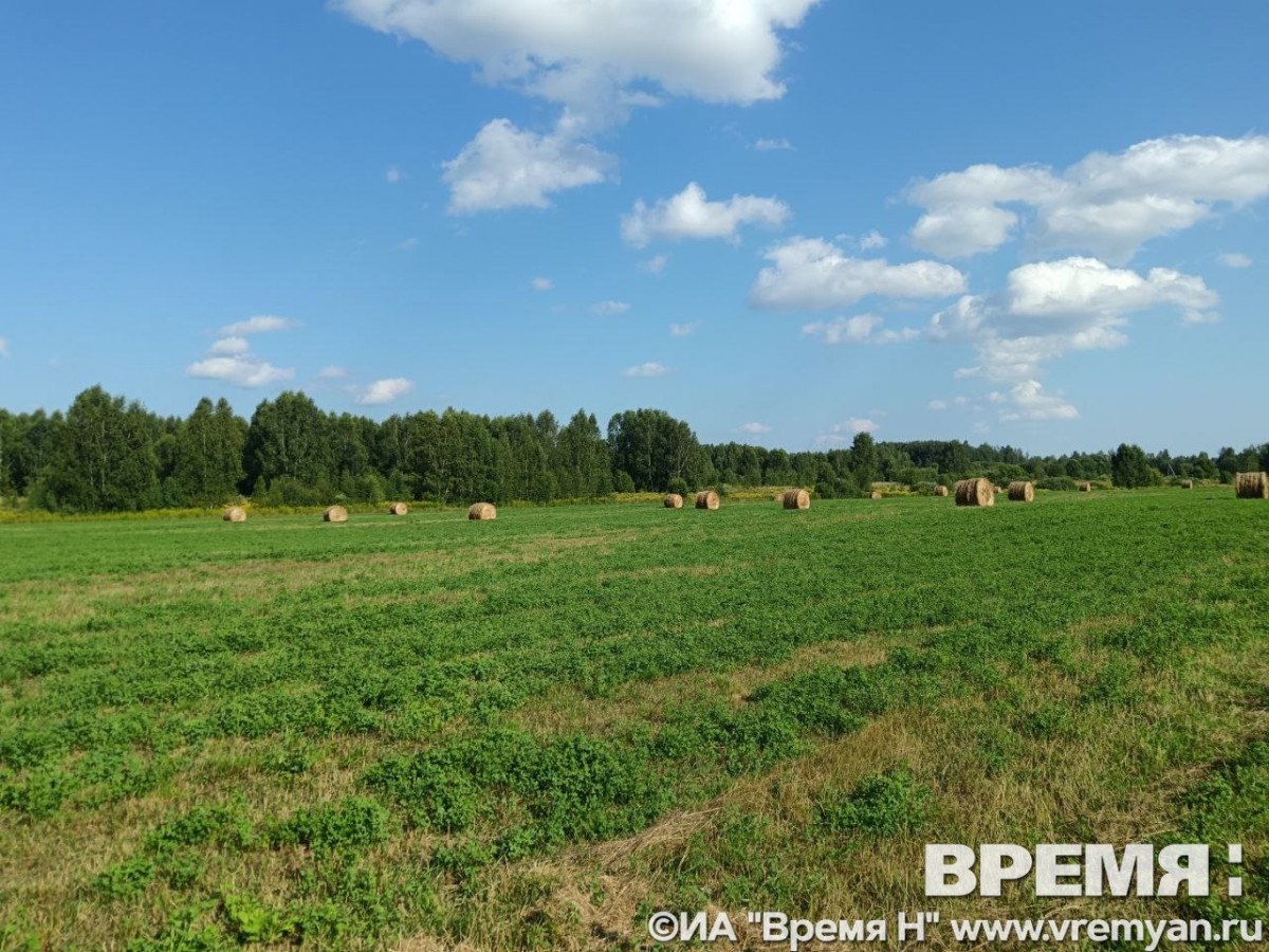Еще два поселка будут упразднены в Нижегородской области в 2026 году