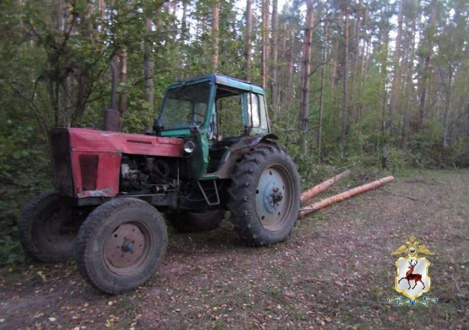 В Вадском районе задержан чёрного лесоруба-рецидивиста
