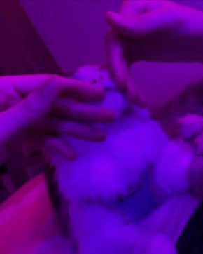 Немного расслабляющих процедур и на бочок