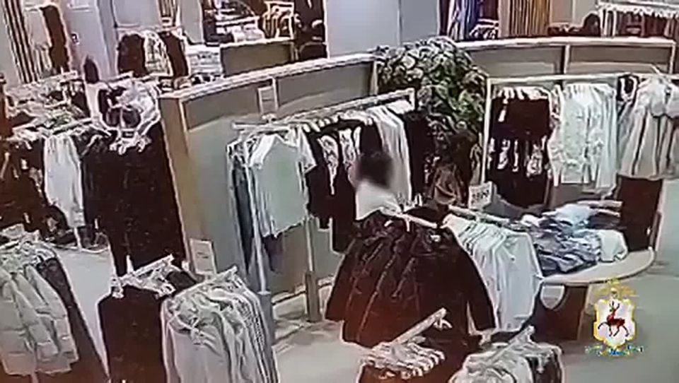 Нижегородскими полицейскими по горячим следам задержана злоумышленница, совершившая серию краж в торговых центрах