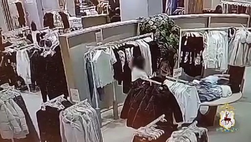 Нижегородскими полицейскими по горячим следам задержана злоумышленница, совершившая серию краж в торговых центрах