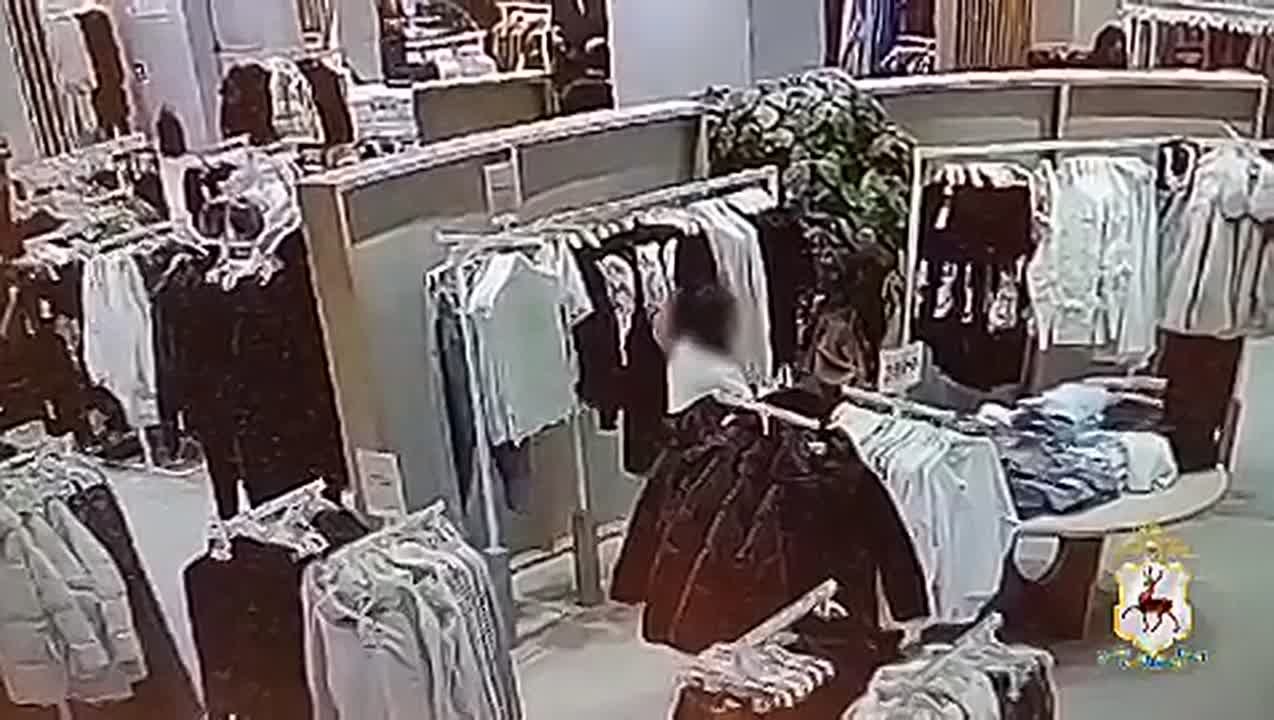 Нижегородскими полицейскими по горячим следам задержана злоумышленница, совершившая серию краж в торговых центрах