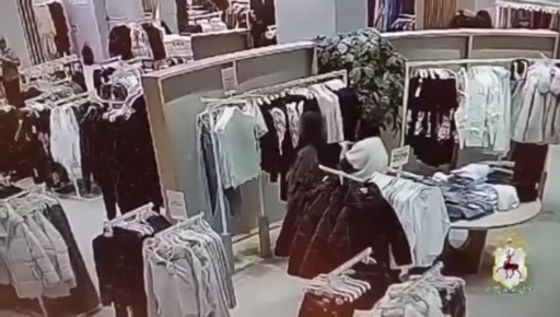 Нижегородские полицейские задержали 28-летнюю карманницу-рецедивистку