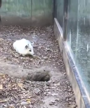 Поработали, а теперь по домам отдыхать