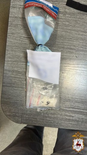 В Нижнем Новгороде заключен под стражу наркодилер за покушение на сбыт запрещенных веществ через «тайники-закладки»