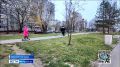 В Мончегорском микрорайоне Автозаводского района Нижнего Новгорода благоустроили скверы