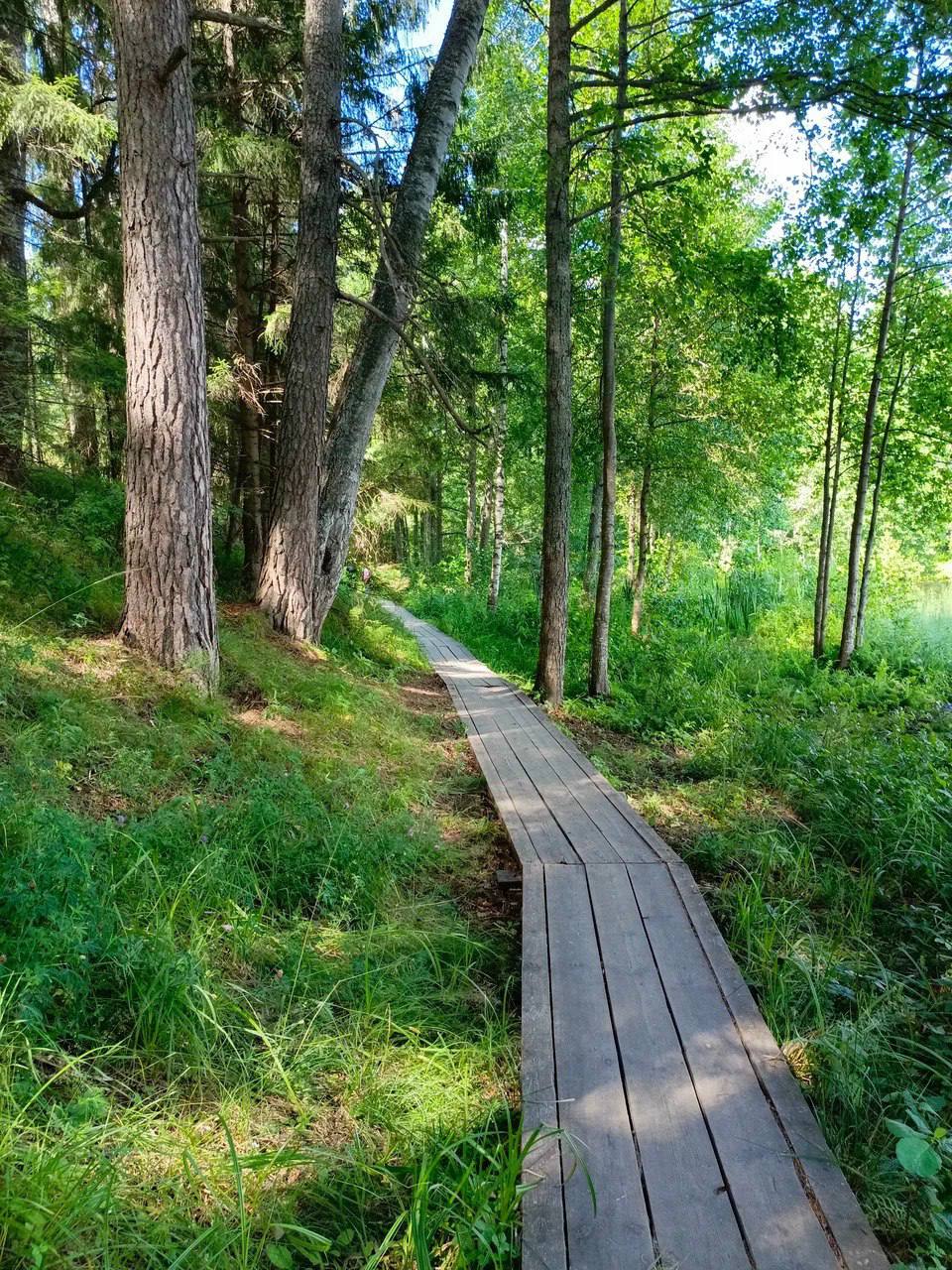 Озеро Светлояр, Нижегородская область Озеро Светлояр, Нижегородская область