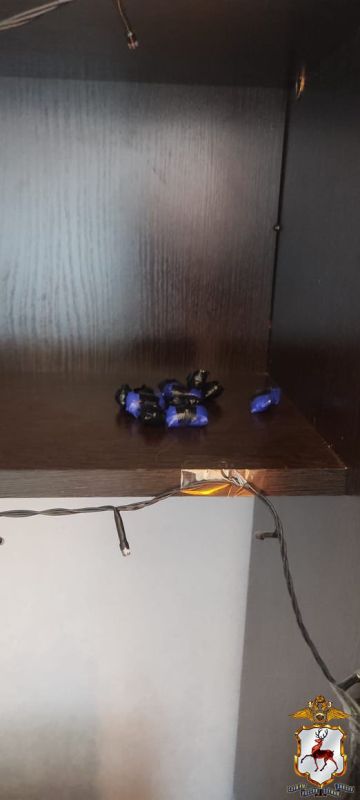 В Нижнем Новгороде задержан молодой человек, подозреваемый в покушении на сбыт синтетического наркотика в крупном размере