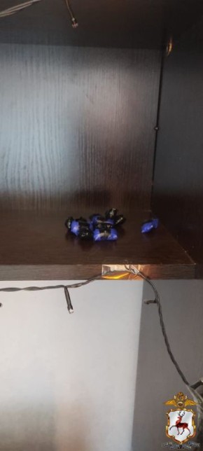 В Нижнем Новгороде задержан молодой человек, подозреваемый в покушении на сбыт синтетического наркотика в крупном размере