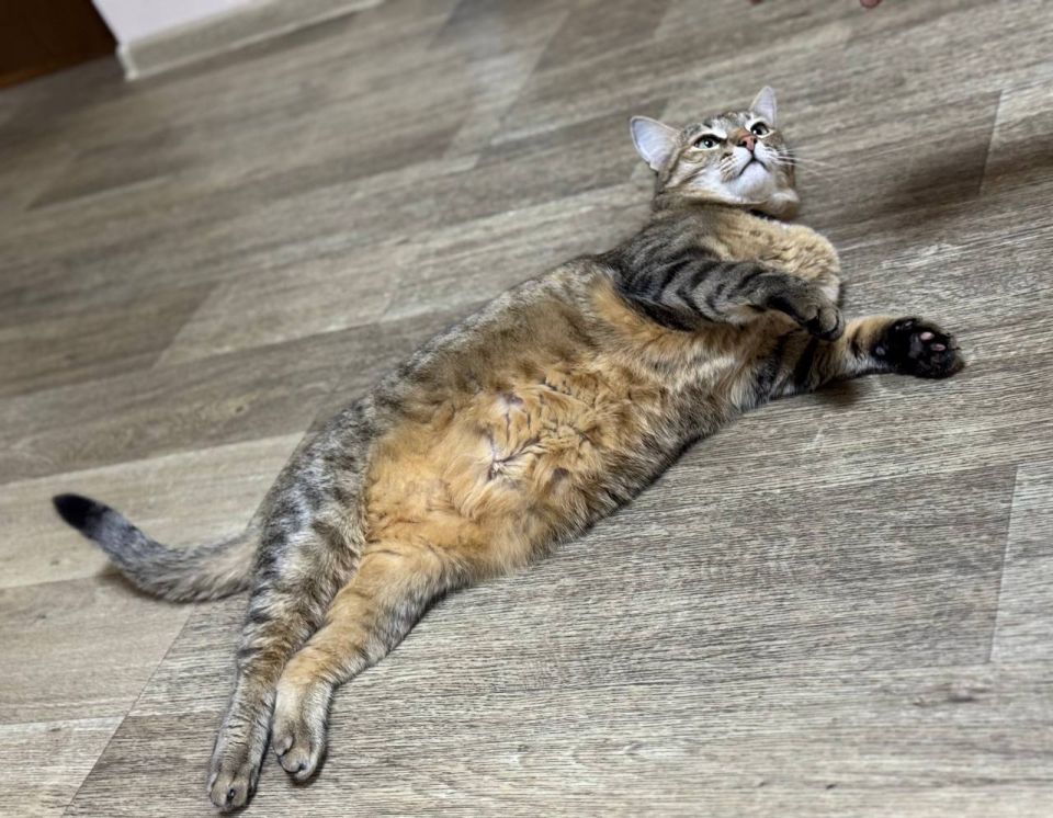 Голосование завершено. В повестке дня – отдых!