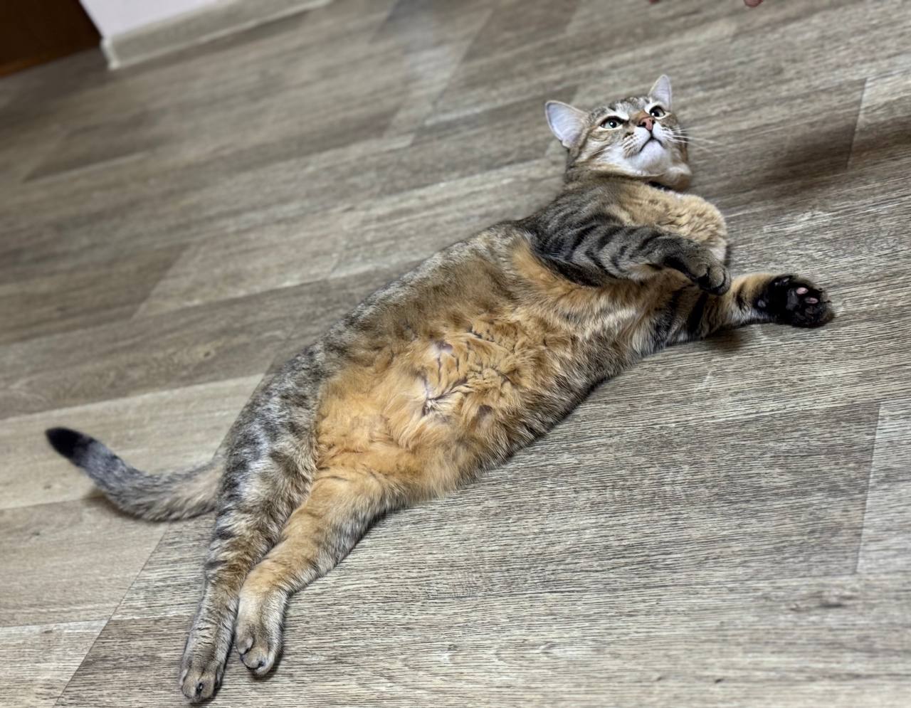 Голосование завершено. В повестке дня – отдых!