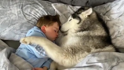 Добрых снов!. Прислать новость Главные новости региона: Telegram | MAX