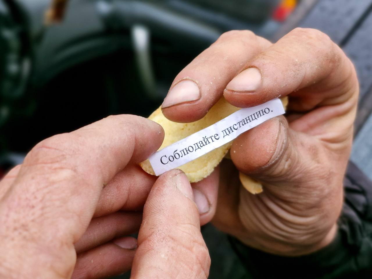 Печенье с правилами дорожного движения: неожиданный урок для водителей на улицах города Арзамаса Печенье с правилами дорожного движения: неожиданный урок для водителей на улицах города Арзамаса