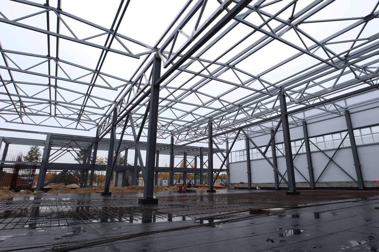 ОЭЗ "Кулибин" выйдет за территорию Дзержинска: в состав войдет новая площадка в 117,7 га на Бору ОЭЗ "Кулибин" выйдет за территорию Дзержинска: в состав войдет новая площадка в 117,7 га на Бору