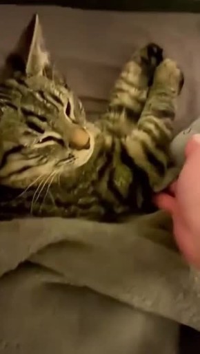 Завтра нас ждет еще один рабочий день