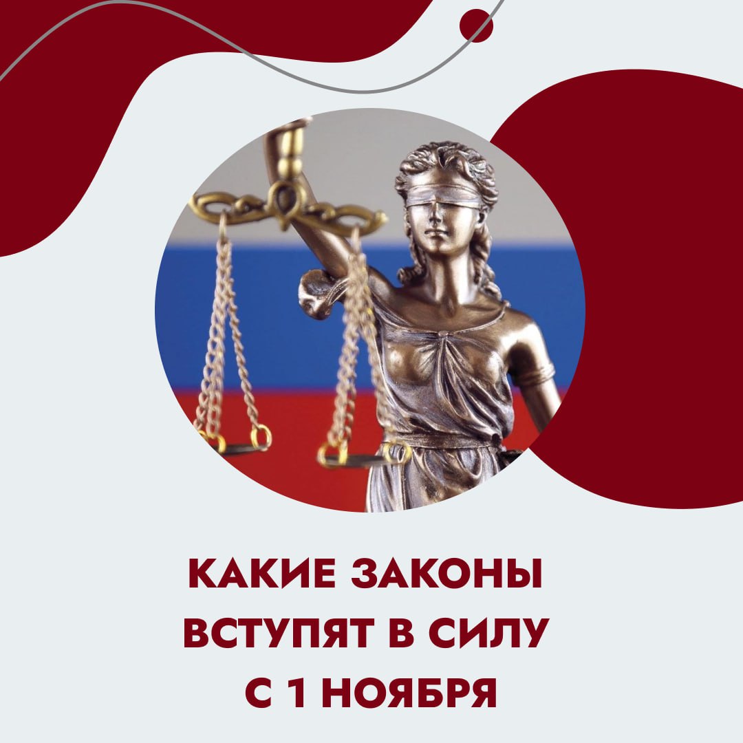 С 1 ноября в России вступают в силу новые законы, которые затронут почти каждого