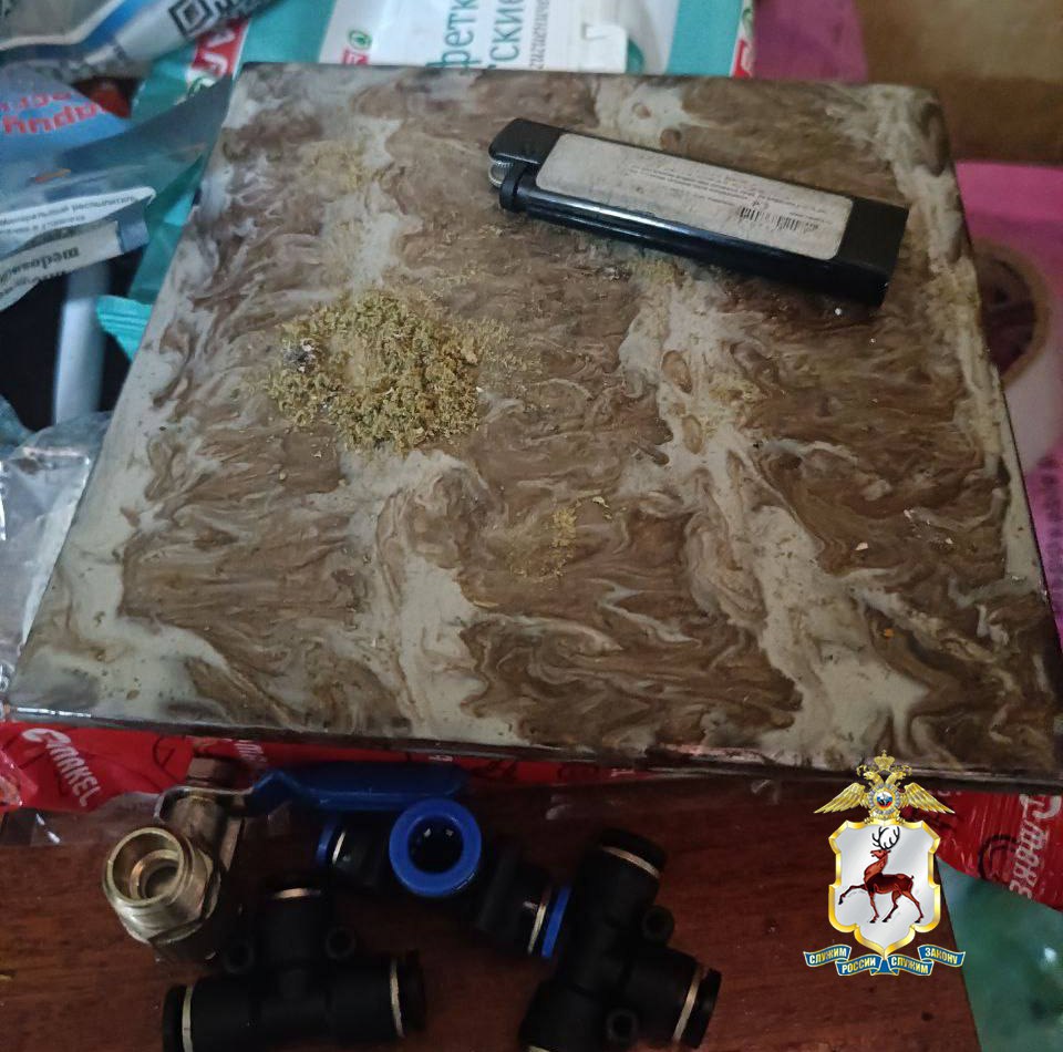 Наркоплантацию марихуаны нашли полицейские в гараже жителя Дзержинска Наркоплантацию марихуаны нашли полицейские в гараже жителя Дзержинска