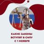 С 1 ноября в России вступают в силу новые законы, которые затронут почти каждого