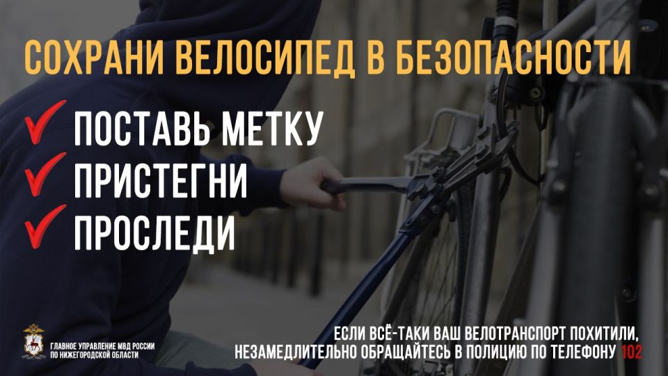 В Арзамасе полицейские раскрыли ранее совершенную кражу велосипеда