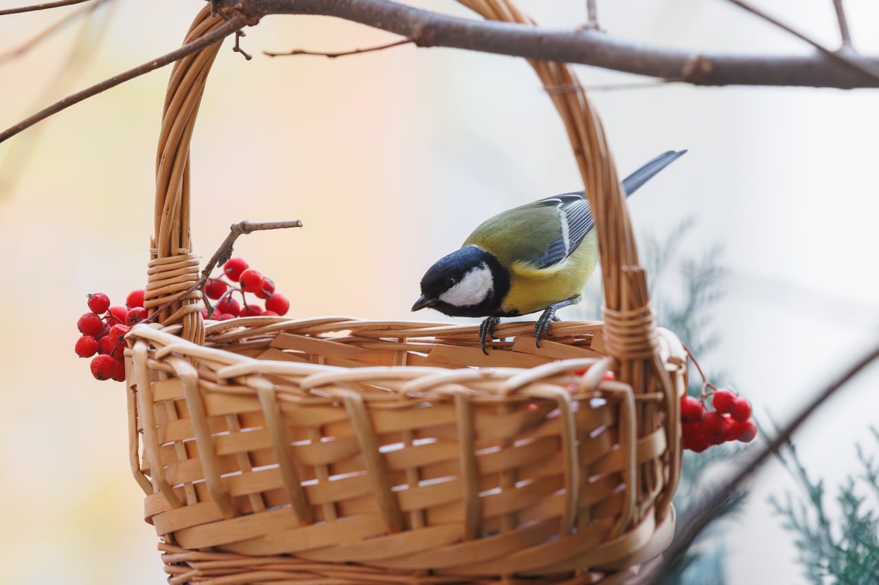 В День народного единства в Нижегородской области будет пасмурно и дождливо