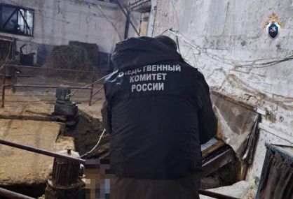 Животновод погиб на сельхозпредприятии в Нижегородской области