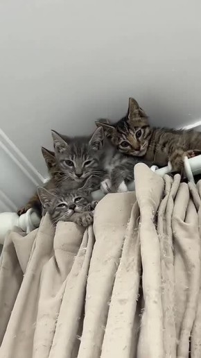 На сегодня, пожалуй, хватит