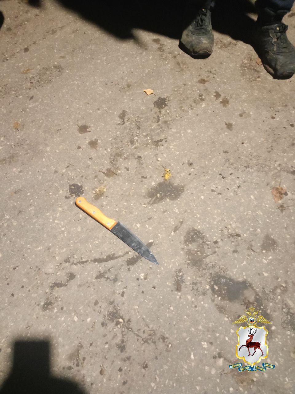 В Нижнем Новгороде полицейские по горячим следам задержали подозреваемого в совершении двух разбоев В Нижнем Новгороде полицейские по горячим следам задержали подозреваемого в совершении двух разбоев