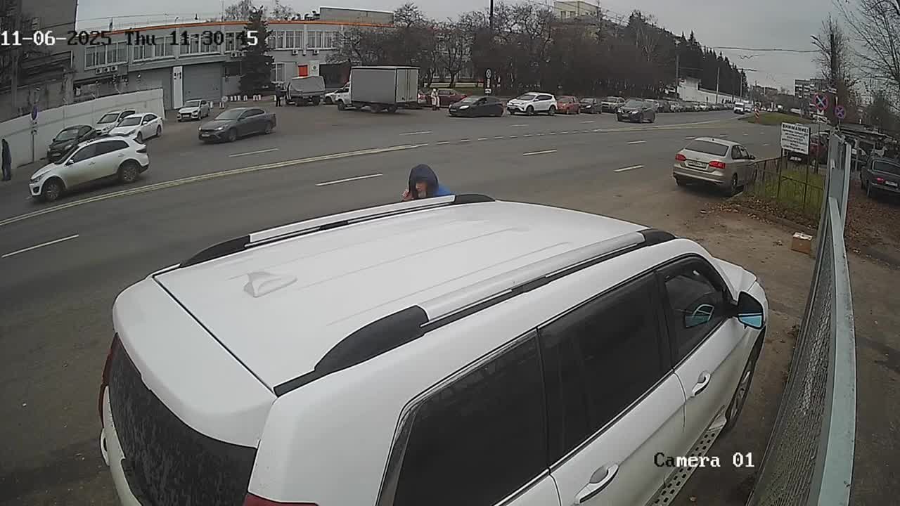 В нижегородский приют для бездомных животных снова подкинули котят