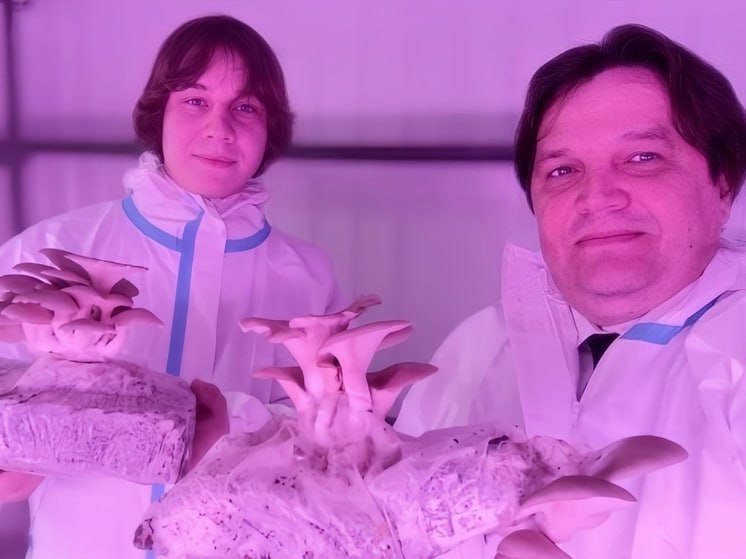 Одни нижегородцы грибы ищут, а другие – выращивают! Команда студентов НГАТУ им. Флорентьева разработала «Mushroom Module» и выиграла миллион