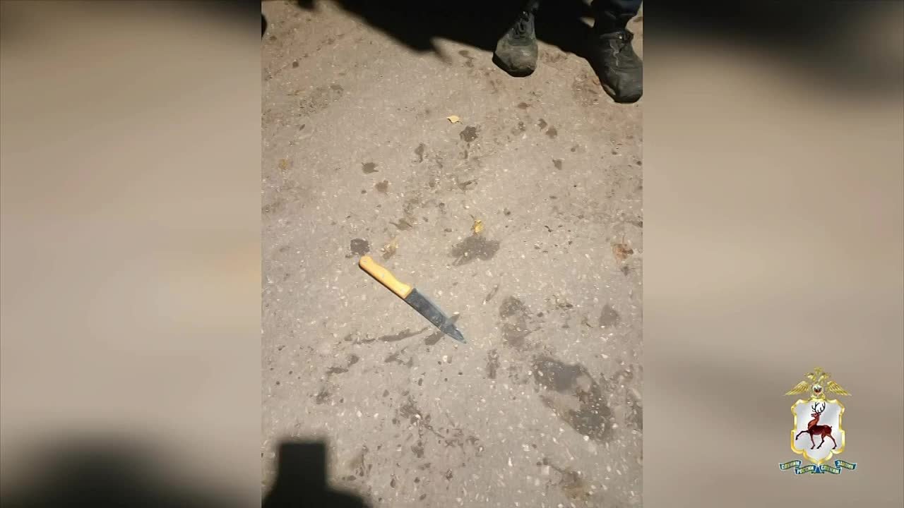 Приезжий из Московской области пытался ограбить женщину под носом у полицейских