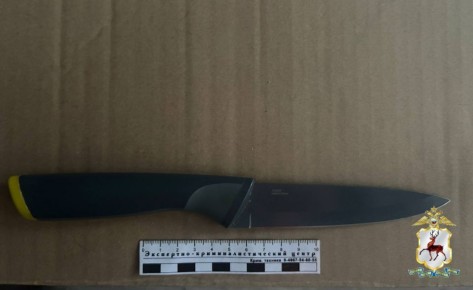 В Нижнем Новгороде мужчина угрожал убийством своей сожительнице