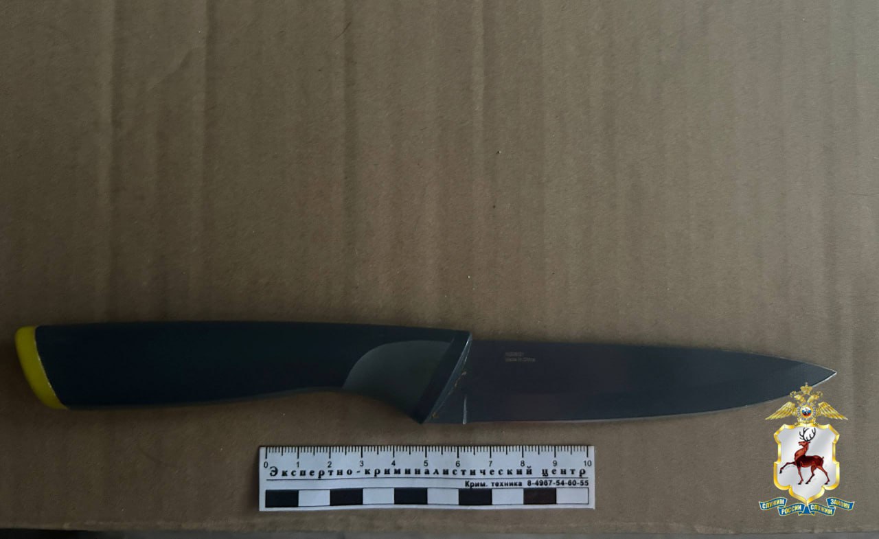 В Нижнем Новгороде мужчина угрожал убийством своей сожительнице