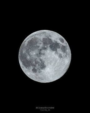 Успели вчера рассмотреть "Луну охотника"?