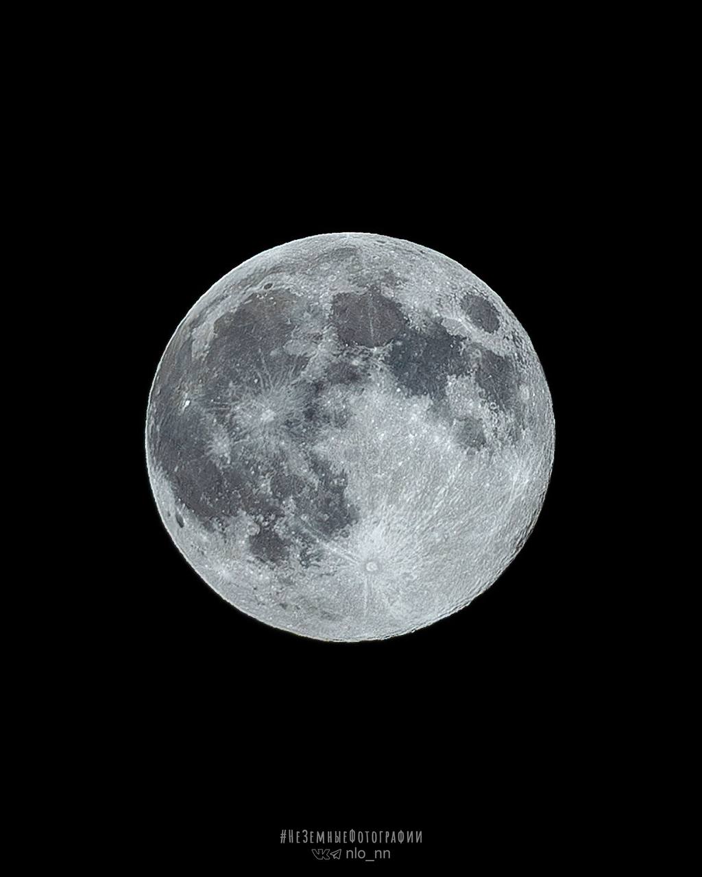 Успели вчера рассмотреть "Луну охотника"?