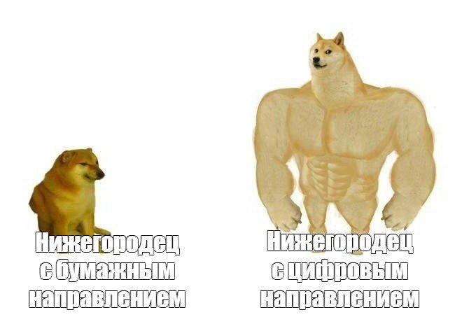 Внимание, с 1 декабря идём к врачам только по цифровому направлению из поликлиники, бумажные утратят актуальность