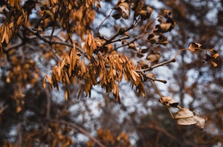 Сегодня в Нижнем Новгороде снова обещают пасмурную погоду, возможен кратковременный дождь