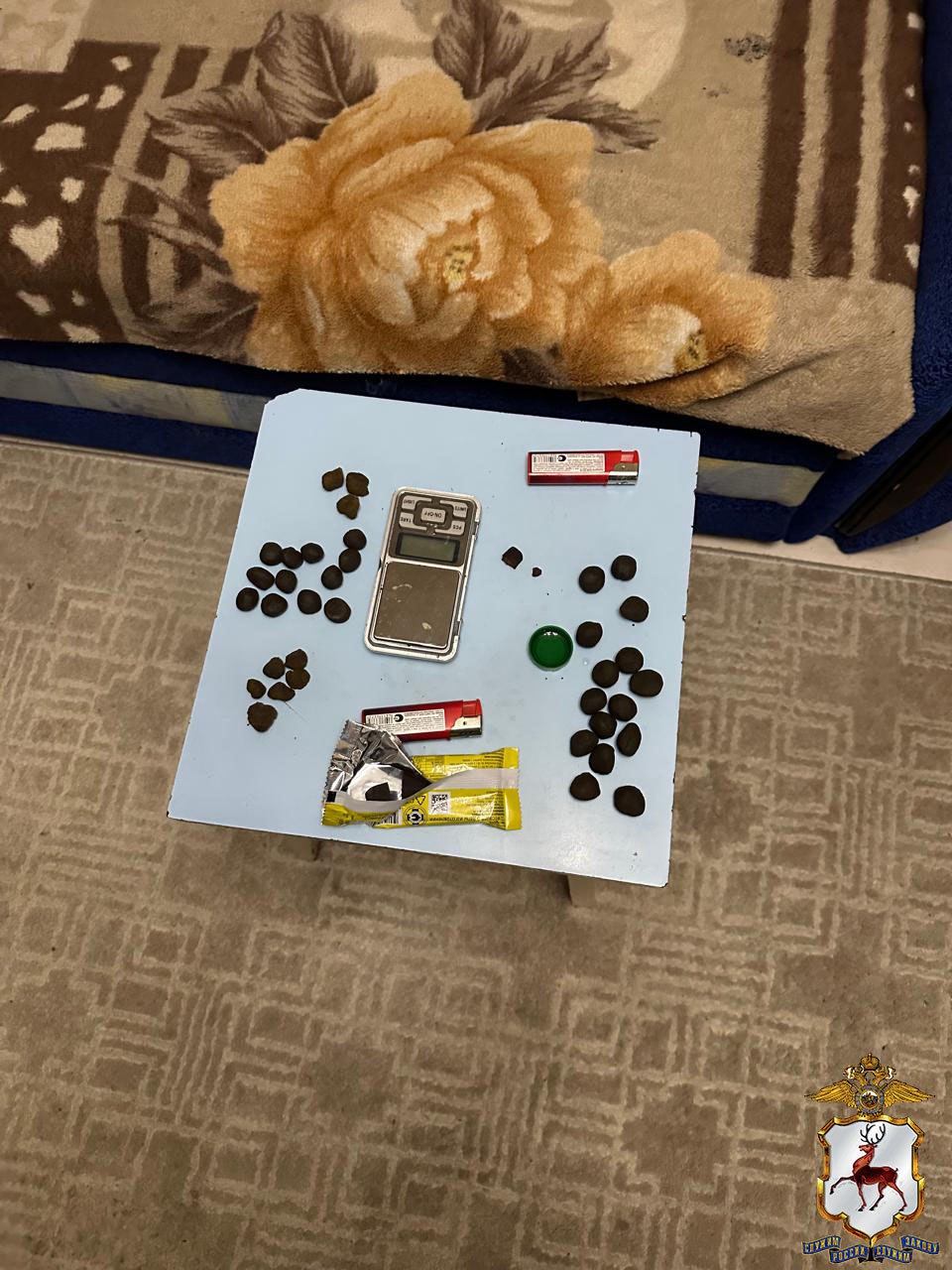 В Дзержинске региональные наркополицейские задержали двух сбытчиков «зелья» В Дзержинске региональные наркополицейские задержали двух сбытчиков «зелья»