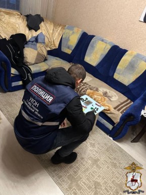 В Дзержинске региональные наркополицейские задержали двух сбытчиков «зелья»