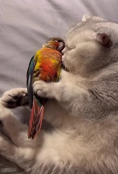 Еще один день подошел к концу