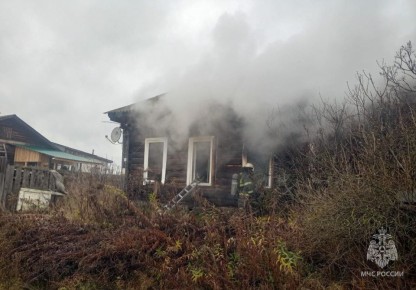 Мужчина погиб на пожаре в Павловском округе