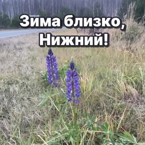     :  +3, , ...+5,   , ....+5, 