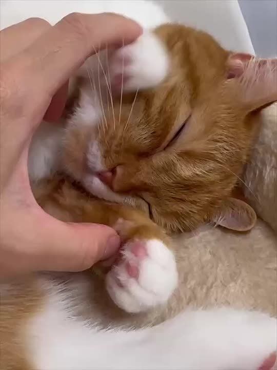 Еще пять минут.... В воскресенье можно