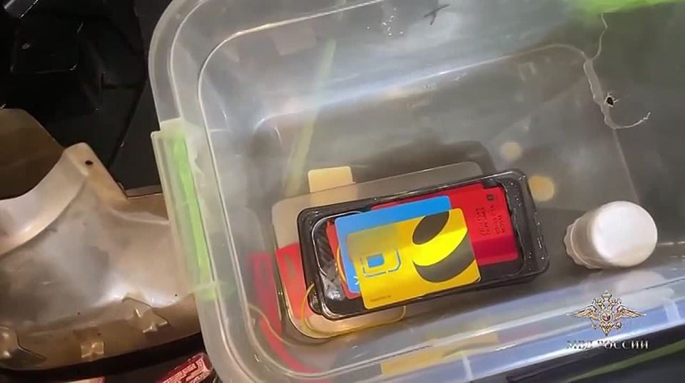 Нижегородца задержали за работу в подпольном онлайн-казино