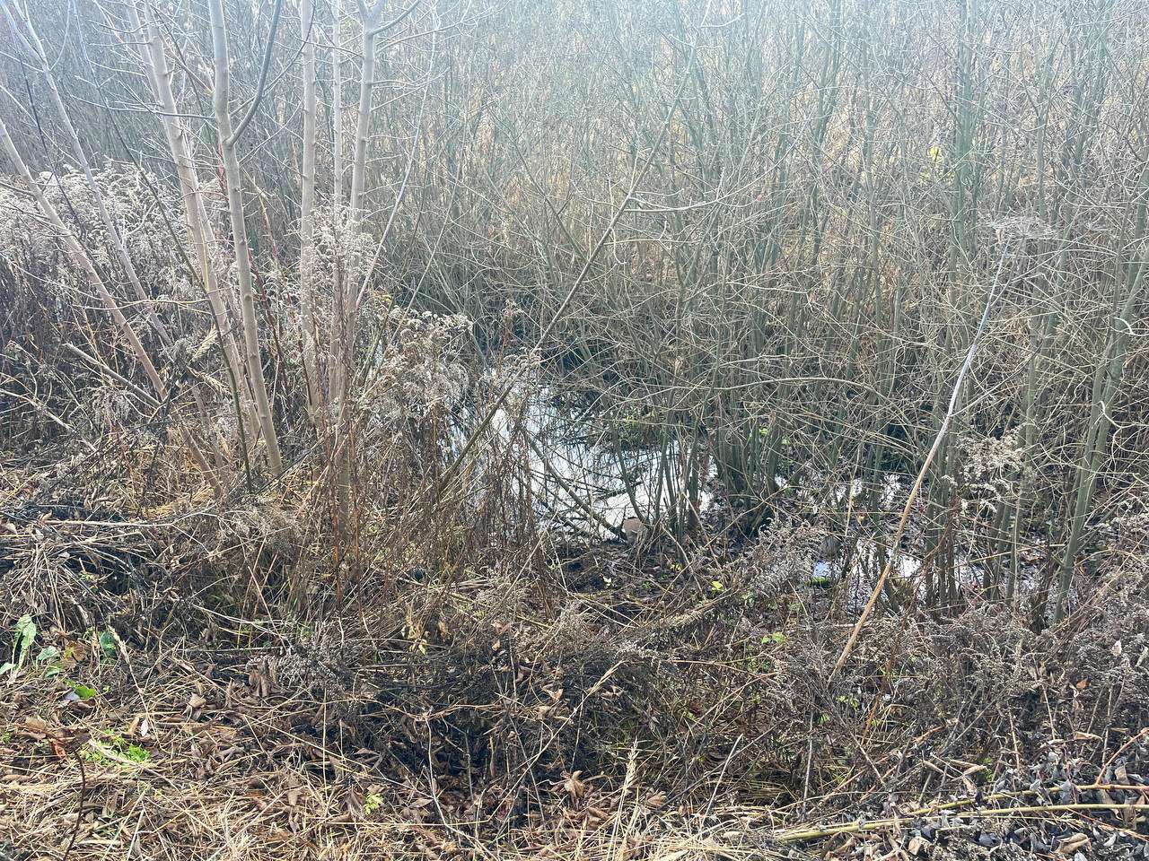 Разлив нефтепродуктов обнаружили в Кстовском районе Разлив нефтепродуктов обнаружили в Кстовском районе