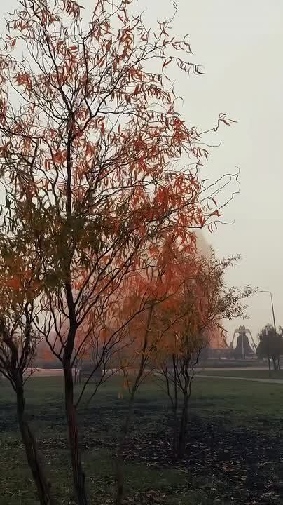 В Нижнем Новгороде сохраняется густой туман